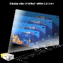 P_5.webp